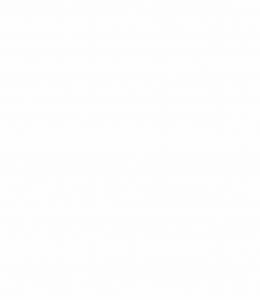 Weiße Seite in WordPress